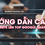 Hướng dẫn các bước SEO Website lên TOP Google hiệu quả nhất